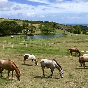 La Ferme Des Etangs Ferienhaus